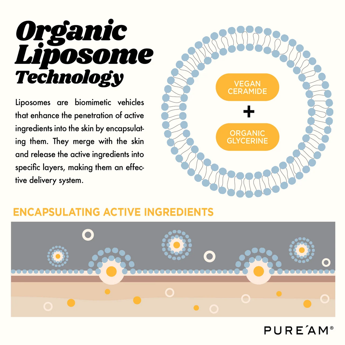 PURE'AM TONER
